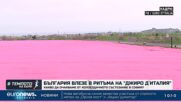 България в ритъма на "Джиро д`Италия" и какво да очакваме от надпреварата в София | Темпото на Кари