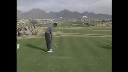 Tiger Woods - Signature Shots