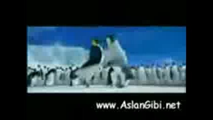 Penguenler Kolbasti Oynuyor