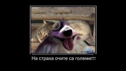 Снимки със съдържание на смях Vbox7