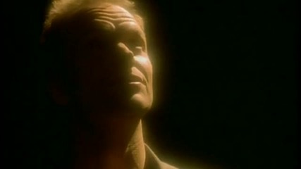 Sting - Fields Of Gold