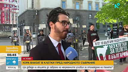Активисти влязоха в клетки в защита на телетата, отглеждани при нехуманни условия