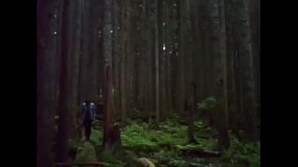 Sera Cahoone - Deer Creek Canyon (album Trailer)