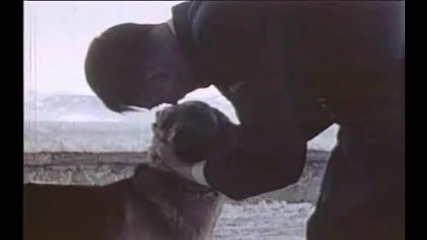 Хитлер и кучето му 