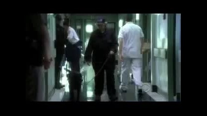 От местопрестъплението с Джъстин Бийбър !csi Justin Bieber part 1 of 3 Hd 