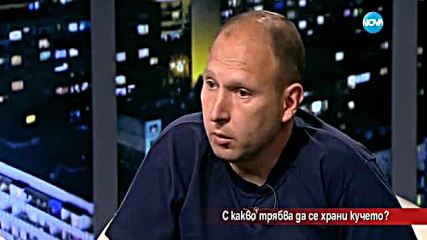 С какво трябва да храним кучето си?