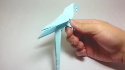 Origami Macaw Parrot - Arara de Origami