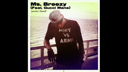 01. Chris Brown - Ms. Breezy (feat. Gucci Mane) [in my zone 2]