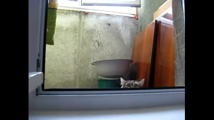 Агент под прикритие