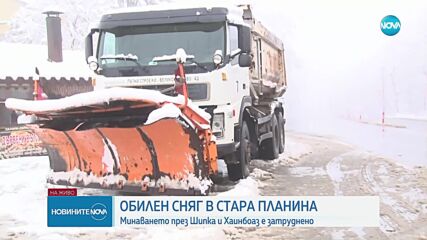 Паднали дървета затвориха два прохода у нас