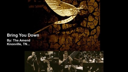 The Amend - Bring You Down