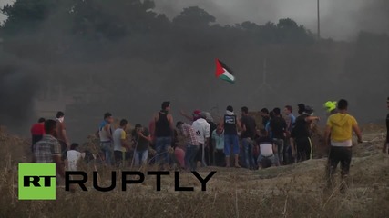 State of Palestine: Palestinian protesters break through Israeli border fences