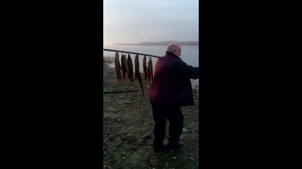 празнуване на деня на рибаря Чомурлука Свищов