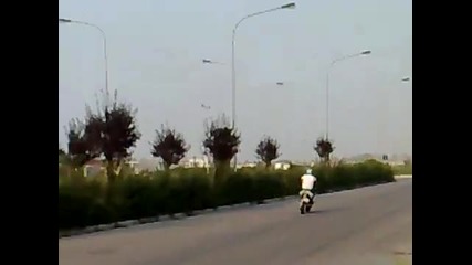 Aerox polini wheely 