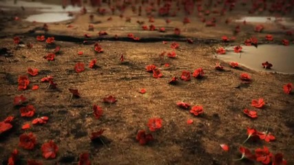 Не на войната!