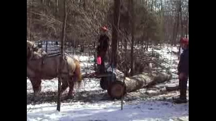 Fitzmorris Horse Logging Part 2.flv