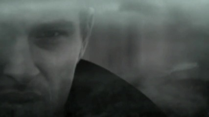 Snowy White - Bird Of Paradise