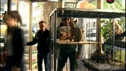 Кобра 11 - 18x05 - На прицел - 2ч (бг аудио)