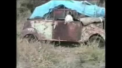 Откачени котки