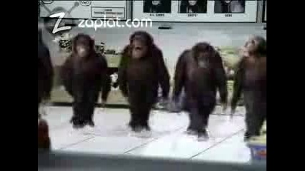 Танц На Маймуните