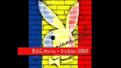 Bug Mafia - Strazile 2008 Remix.avi