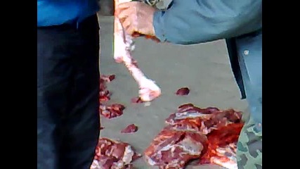 09102010010