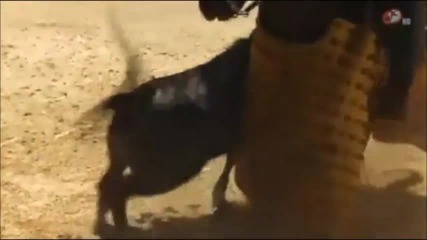 Camila y Daniel- Parte 10