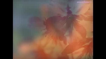 Chris Spheeris & Anthony Mazzela - Relaxing music
