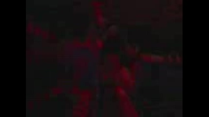 Amnesia Ibiza Review 2006