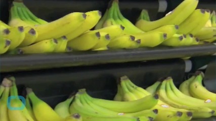 Not Berry Good: US Adults Still Skimp on Fruit and Veggies