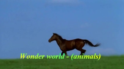 Светът е чудесен! ... ( Eldar Mansurov music) ... (wonder world - (animals)