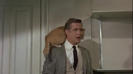 Закуска в Тифани (1961) откъс *превод* 