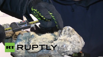 Russia: 10,000-year-old "exceptional" lion cubs go on display in Yakutsk