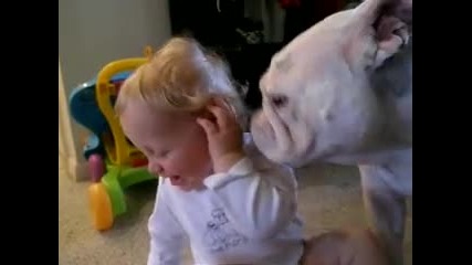 Сладко бебе си играе с куче