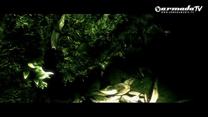 Roger Shah feat. Moya Brennan - Morning Star (official Music Video)