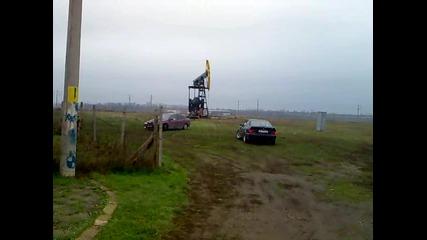 сърбина от долни дъбник