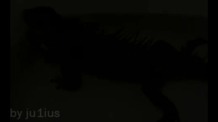 Inception (animal) Trailer