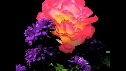 Engelbert Humperdinck ~ The way it used to be