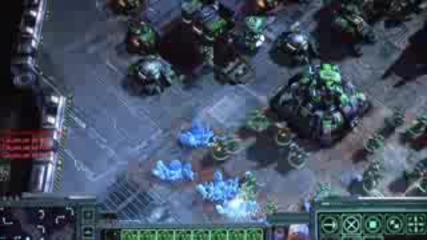Starcraft Multiplayer