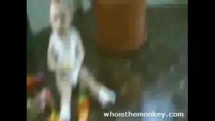 Бебе Танцува