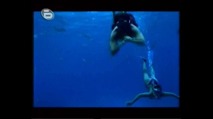 Tormenta en el Paraiso - Promo (telenovelasfans.hit.bg) (1)