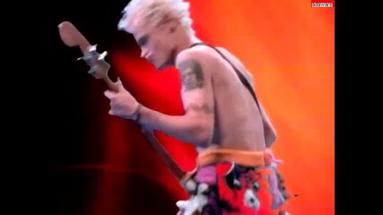 Red Hot Chili Peppers - Higher Ground (hq)