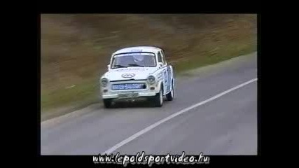 Рали 2010 