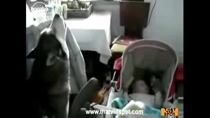 Куче вие за да успокои плачещо бебе 