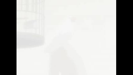 Wolfs Rain Ep 18