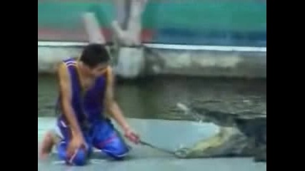 Крокодил откъсва ръката на човек