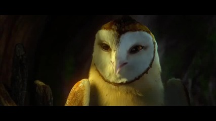 Legend of the Guardians 