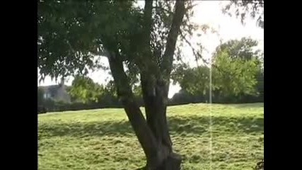 Pink Floyd ~ Grantchester Meadows 