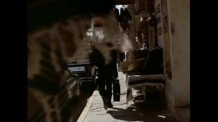 Tito & Tarantula - Back To The House That Love Built ( Desperado Ost ) Hq