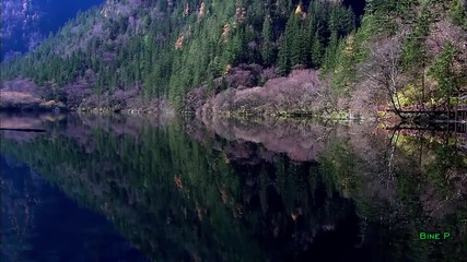 Terry Oldfield Distant Echoes (relaxing Music )